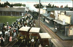 Rubber-Neck Row Postcard