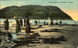 Calm Diggers At Seaside Calm Diggers At Seaside