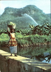 Republic Of Guinea Watering Of Banana Plantation Africa