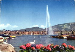 Geneva Postcard