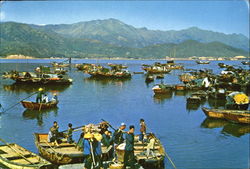 Fishing Boats With Their Owners Moored And Stationed At Aberdeen Harbour Postcard