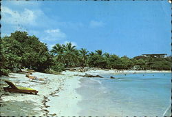 Sapphire Beach Club Postcard