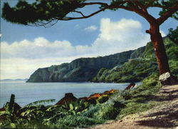 Scenic View of Coast and Ocean Japan Postcard Postcard