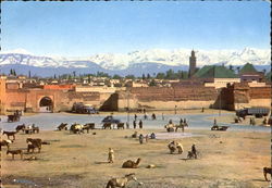 Panorama A Bab Doukkala Postcard