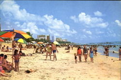 Recife Brazil Postcard Postcard