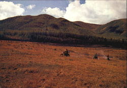 A Country Scene Hubsugul Aimak, Mongolia China Postcard Postcard