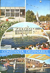 Constanta Delfinariul Postcard