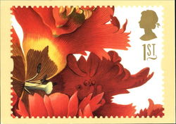 Tulipa Gesneriana Postcard