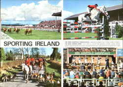 Sporting Ireland Postcard Postcard