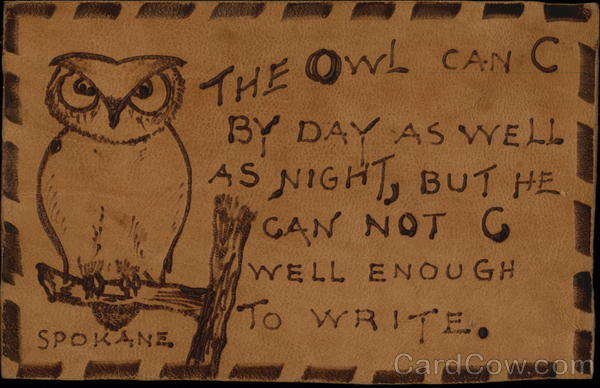 The Owl Can C Leather