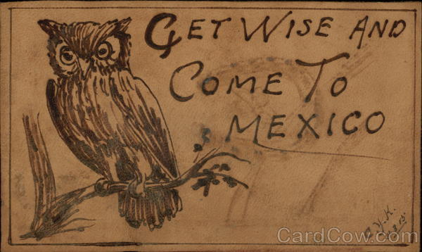 Get Wise And Come To Mexico Leather