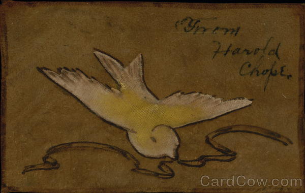 Dove Leather