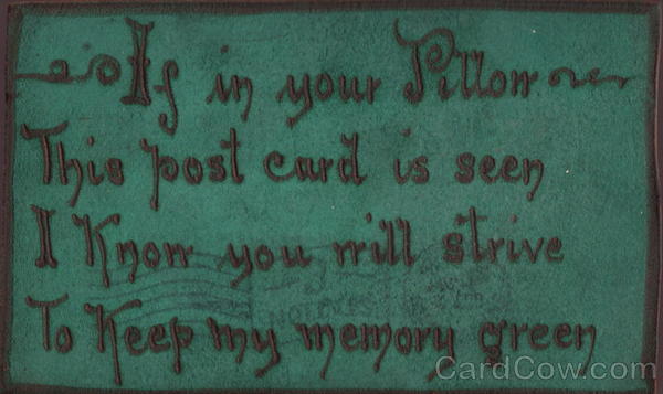 Keep My Memory Green Leather