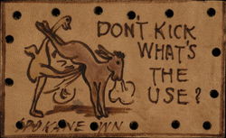 Don't Kick What's The Use? Postcard