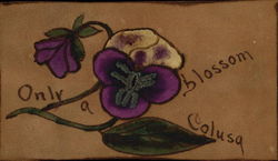 Only A Blossom Colusa Postcard