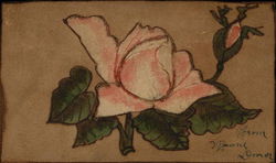 Flower painted on paper Postcard