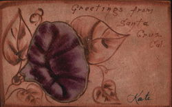 Greetings From Santa Cruz Postcard