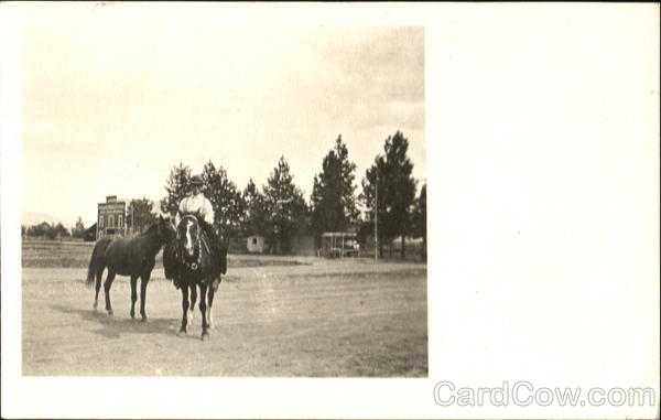 Man with Horses Meyers Falls Washington