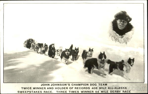 John Johnson's Champion Dog Team