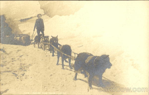 Early Dog Sled Team Alaska
