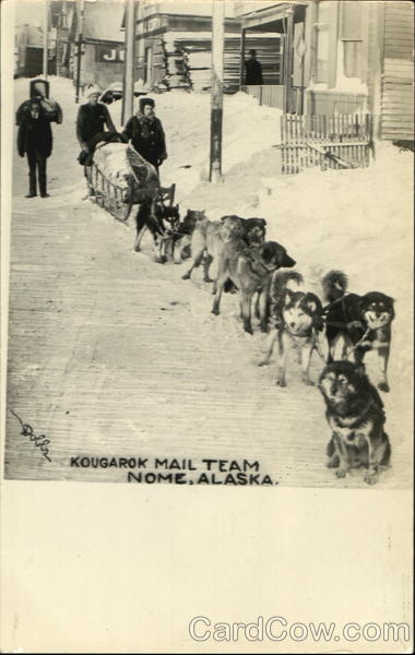 Kougarok Mail Team Nome Alaska Dobbs