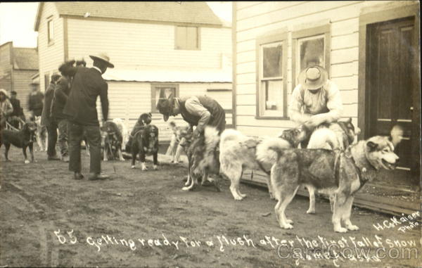 Dog Sled Team Nome Alaska H. C. Kaiser