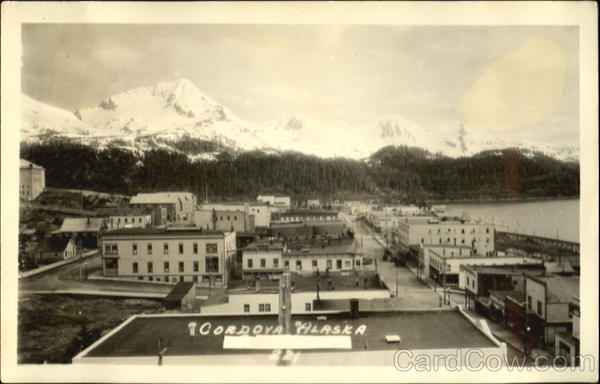 Birds Eye View Cordova Alaska