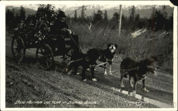 Steve Melchor Dog Team Seward Alaska