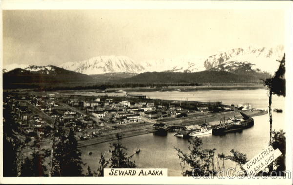 Birds Eye View Seward Alaska