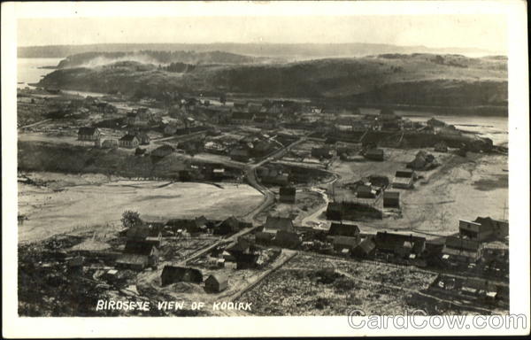 Birdseye View Kodiak Alaska