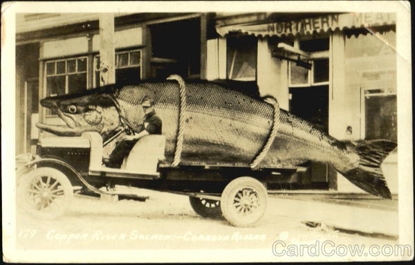 Copper River Salmon Cordova Alaska