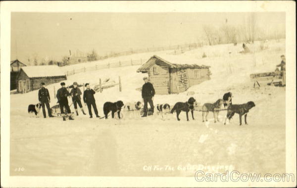 Dog Sled Off For The Gold Diggings Knik Alaska