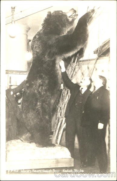 World's Record Kodiak Bear Alaska