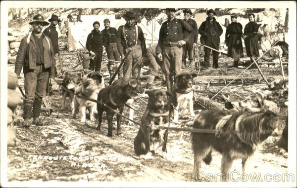 Dog Team - Loggers or Miners Alaska