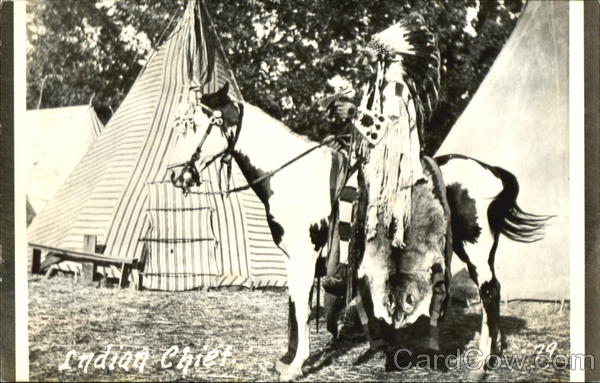 Indian Chief Native Americana