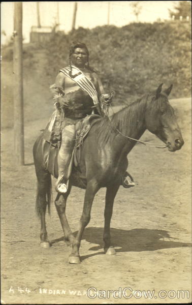 Northwest Indian Warrior And Pony Native Americana