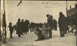 All Alaska Sweepstake's Race 1911 Nome, AK Postcard Postcard