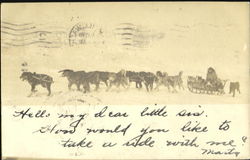 Dog Sled Team Postcard