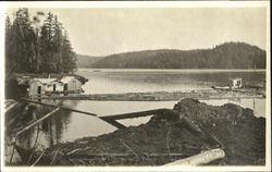Logging Camp Scenic, AK Postcard Postcard
