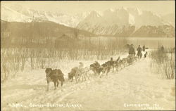 U. S. Mail Dog Team Seward-Susitna Postcard