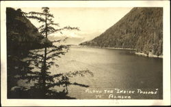 Along The "Inside Passage" Scenic, AK Postcard Postcard