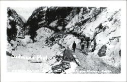 Mountainside Trail Postcard