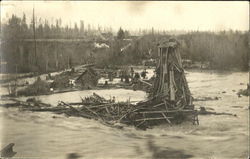Logging Logging