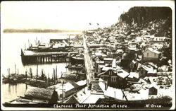 Charcoal Point Ketchikan, AK Postcard Postcard