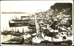 Charcoal Point Postcard