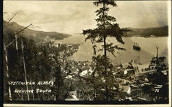 Looking South Postcard