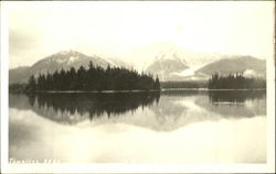 Trees Reflecting on Lake Postcard