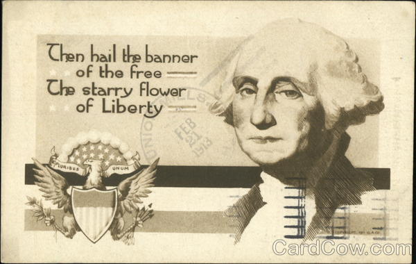 Then Hail The Banner Of The Free The Starry Flower Of Liberty
