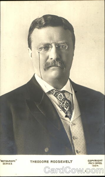 Theodore Roosevelt