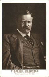 Theodore Roosevelt Postcard